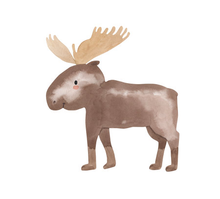 watercolor moose. Arctic animal illustration for kidsの写真素材