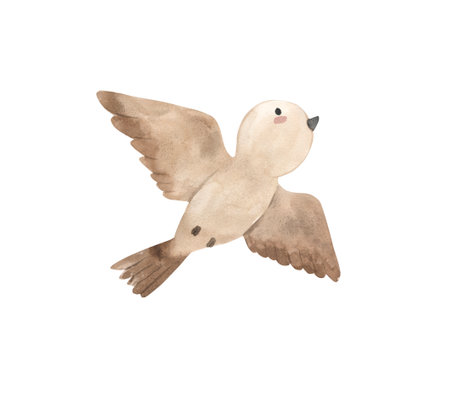 Bird watercolor illustration for kidsの写真素材