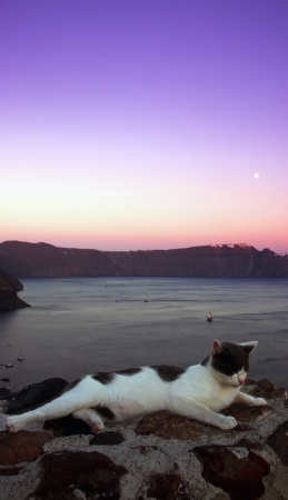 Picturesque Santorini at sunsetの写真素材