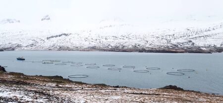 Captivated fish contraversial fish farm in east icelandの写真素材