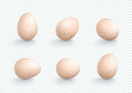 Easter Eggs Vector Element Angles Set 3d Isolated Speckledのイラスト素材