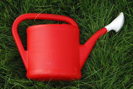 red wateringpot on the green grass in gardenの写真素材
