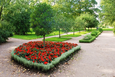 bed with red flowers in the gardenの写真素材