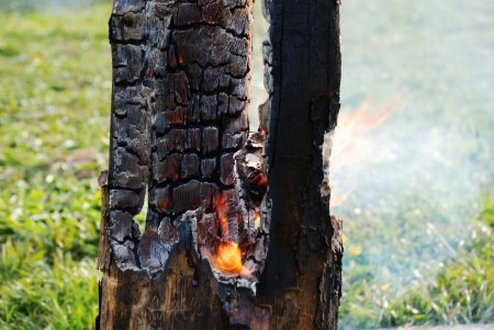 smouldering tree trunk burned out in the middleの写真素材