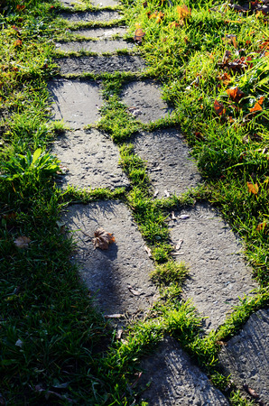big stones paved path in greens, verticalの写真素材