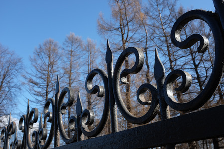 wrought iron fence against the sky and trees