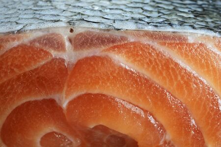 salmon closeup fresh fillets, horizontal photo