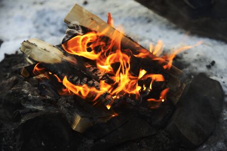 closeup of burning wood in fire, winter