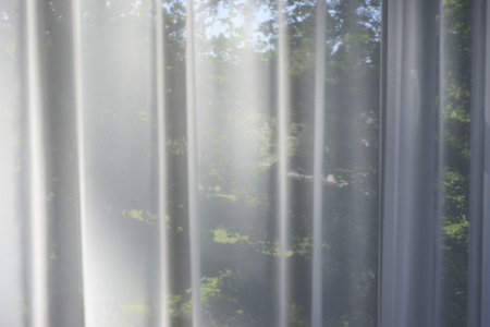 the morning garden in the window behind the transparent curtains