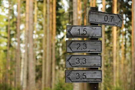 wooden signs of directions and distances in the forestの写真素材