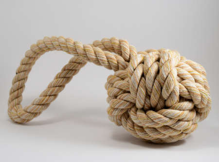 toy for dog made of durable cotton rope on a neutral backgroundの写真素材