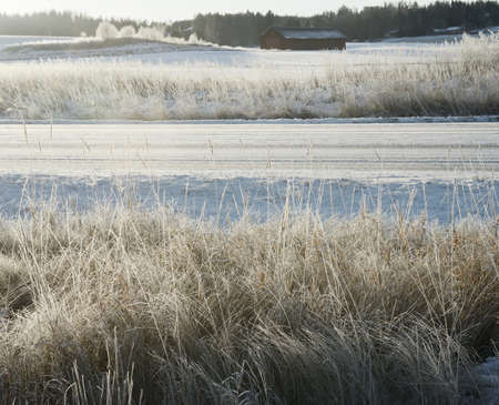 beautiful winter landscape in Finland, frozen grass glitter in the sun, roadの写真素材