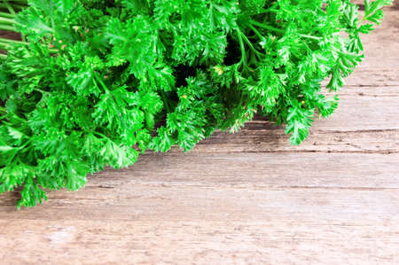 tied fresh parsley on wooden surfaceの写真素材