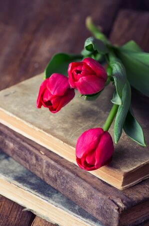 pink tulips on a pile of old booksの写真素材