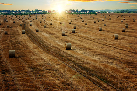 End of day over field with hay bale