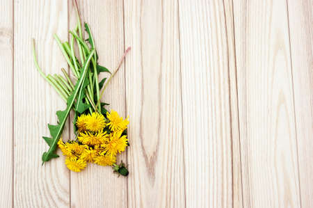 Dandelion flowers on the wooden backgroundの写真素材