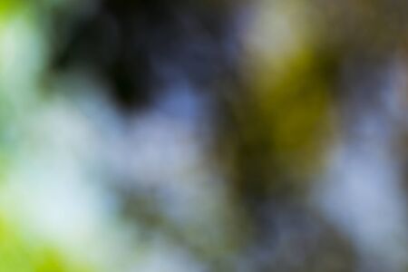 green bokeh foliage. natural backgroundの写真素材