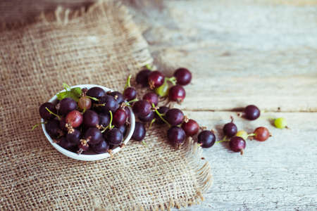 currant with gooseberriesの写真素材