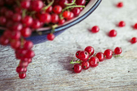 red currants in an enamel pot on wooden backgroundの写真素材