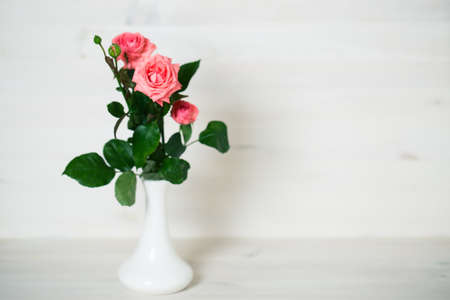 Pink roses on a wooden backgroundの写真素材