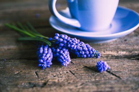 Blue flowers and a cup of coffee on a wooden backgroundの写真素材