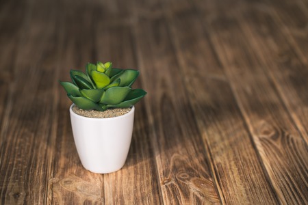 artificial small houseplant on a wooden backgroundの写真素材