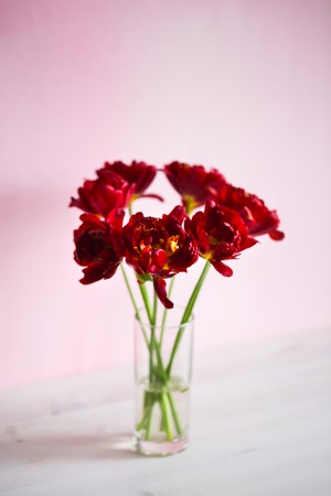 Beautiful bouquet of tulips on a white backgroundの写真素材