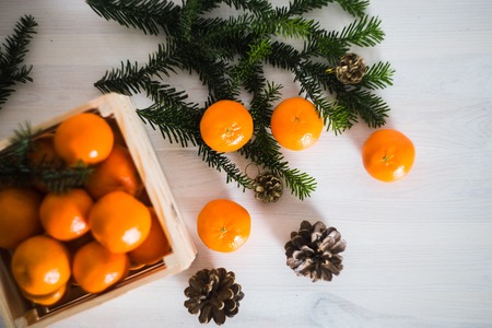 wooden box of fresh mandarin fruits with fir branchの写真素材