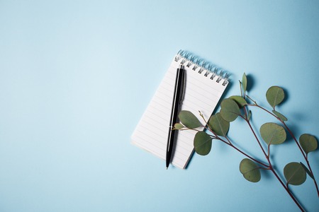 Notepad with pen and eucalyptus branch on a blue backgroundの写真素材