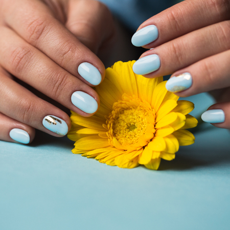 Girl with blue manicure holds a yellow flowerの写真素材