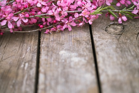Beautiful spring flowers on old wooden backgroundの写真素材