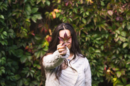 Autumn leaves in girl handsの写真素材