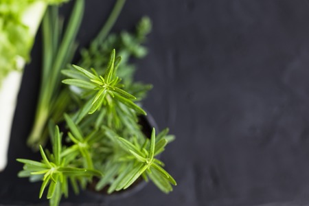 Fresh vegetables: cabbage, avocado, tomato, rosemary, garlic, mushrooms, leeksの写真素材