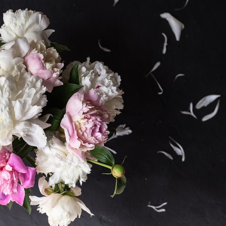 Peonies bouquet on black backgroundの写真素材