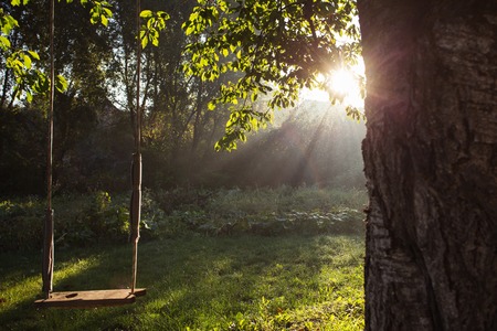 Baby swing morning dawn