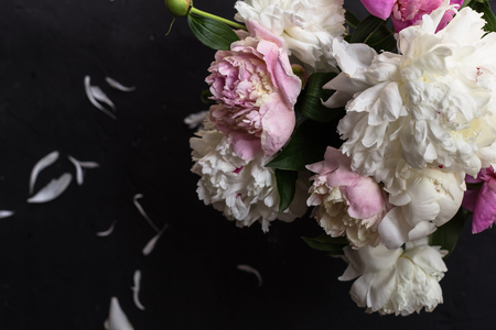 Peonies bouquet on black backgroundの写真素材