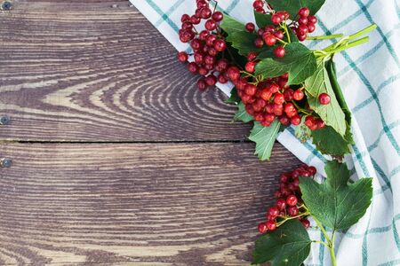 Viburnum berries with bunches. Viburnum on wooden background