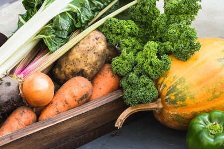 Assortment of fresh vegetables. Carrot garlic peas cabbage onion celery cucumber parsnip and radish...