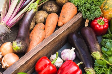Assortment of fresh vegetables. Carrot garlic peas cabbage onion celery cucumber parsnip and radish concrete board.の写真素材