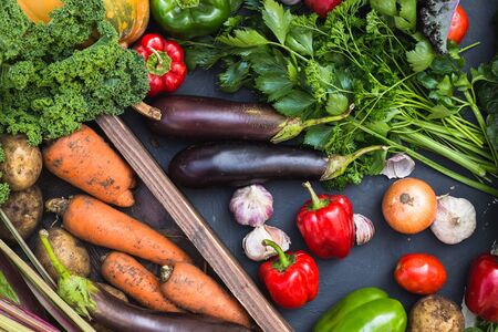 Assortment of fresh vegetables. Carrot garlic peas cabbage onion celery cucumber parsnip and radish concrete board.の写真素材