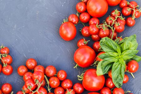 Fresh grape tomatoes with basil and garlic, pepper.の写真素材