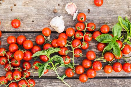 Fresh cherry tomatoes on a wooden table.の写真素材