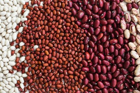 Beans background. Different varieties of bean seeds.の写真素材