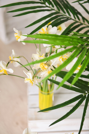 daffodils with butterflies, spring background of flowers.の写真素材