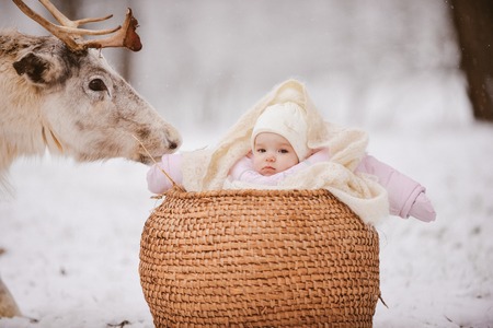 little girl next to a reindeer in a park