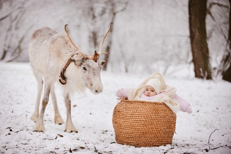 little girl next to a reindeer in a parkの写真素材