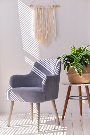 Armchair and plant in a room with blindsの写真素材