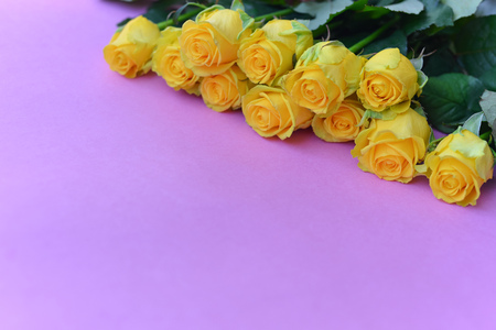 A bouquet of yellow roses flowers with leaves on an isolated pink background. Flat lay, top view. corner composition. postcard birthday floral arrangementの写真素材