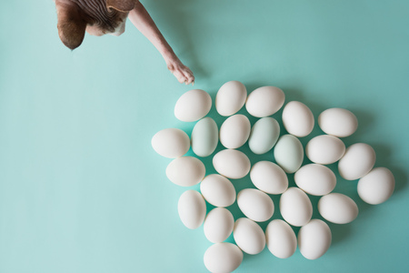 sphinx cat paws white chicken eggs for Easter holidays, a curious hungry cat on a background of turquoise, top viewの写真素材