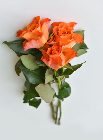bouquet of orange roses on a light background, floral arrangement, festive flowers Valentines Day, birthday on white backgroundの写真素材